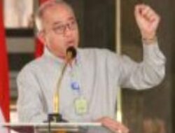 Membangun Rumah Politik: Dari Ide hingga Pendirian Pa