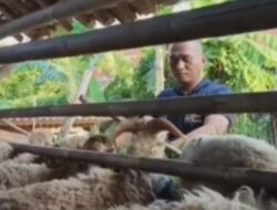 Kisah Inspiratif Polisi di Bekasi Bina Peternakan Kambing dan Unggas, Bantu Warga Naik Kelas Ekonomi