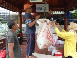 BRI Region 6/Jakarta 1 Gelar Panen Ikan Lele di Urban Farming Binaan