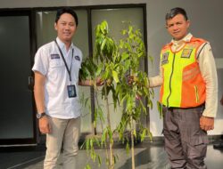 BRI Kanca Bandara Soekarno-Hatta Bersama Angkasa Pura Tingkatkan Kualitas Lingkungan Bandara Melalui Program Penghijauan