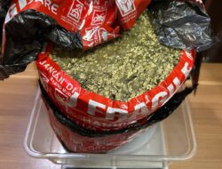 Sat Resnarkoba Polres Metro Bekasi Kota Berhasil Mengamankan 2 Pengedar, Sita Total 1,567 Gram Ganja dan Sabu