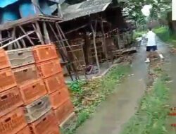 Jarang Ada! Jual Cepat Tanah 11 Hektar di Bogor dengan Peternakan Ayam Telur Produktif Skala Besar