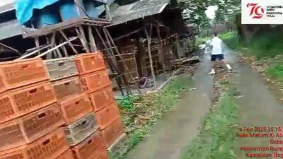 Jarang Ada! Jual Cepat Tanah 11 Hektar di Bogor dengan Peternakan Ayam Telur Produktif Skala Besar