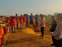 Wakapolda Metro Jaya Cek Ketahanan Pangan di Bekasi, Lahan 25 Hektare Siap Ditanami Jagung