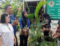 Kalampangan : Kampung Proklim, Produsen Camilan Khas Hingga Budidaya Lebah Madu Meylifera dan Kalulut