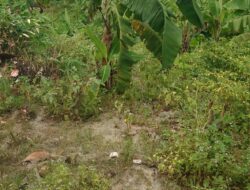 Warga Dusun Pasir Kupa Protes Limbah SPPG: “Kami Dirugikan, Tolong Tindaklanjuti!”