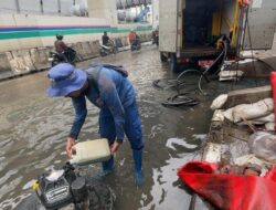 Pompa Dioperasikan, Genangan Rob di Jalan RE Martadinata Dipastikan Surut