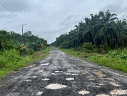 ‎Pekerjaan Uruk Jalan Mesuji : Memperbaiki Akses atau Sekedar Buang Uang Rakyat.