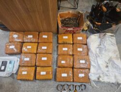 Polda Meteo Jaya Berhasil Gagalkan Peredaran  Ganja Seberat 18 Kilogram  dI Jakarta Barat