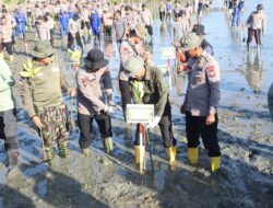 Green Policing Polda Aceh, Tanam 10 Ribu Mangrove untuk Perkuat Ketahanan Ekologi dan Ekonomi Desa Pesisir