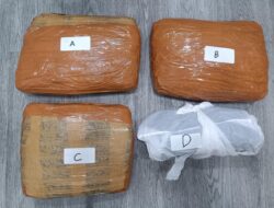 Polda Metro Jaya Gagalkan Peredaran 3 Kg Ganja di Tanah Abang