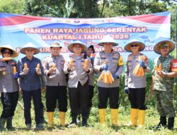 *Kapolres Bekasi Kota Pimpin Panen Raya Jagung di Jatiasih*