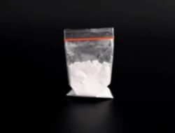 Dugaan Jaringan Sabu Mulai Terbuka di Desa Tanjung Haloban, Warga: Jangan Sampai Aparat Kecolongan