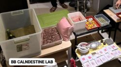 *POLDA METRO JAYA BERHASIL MENGUNGKAP CLANDESTINE LAB NARKOTIKA JENIS EKSTASI DAN HAPPY WATER*