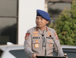 Ditpolair Korpolairud Ungkap Penyelundupan 47 Ribu Benih Lobster di Serang, Lima Tersangka Diamankan