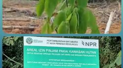 PT NPR Diduga Gelembungkan Luasan Lahan: Bebaskan 68 Hektare, Klaim 140 Hektare