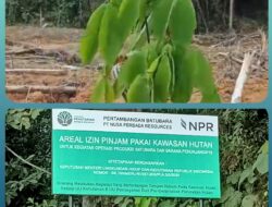 PT NPR Diduga Gelembungkan Luasan Lahan: Bebaskan 68 Hektare, Klaim 140 Hektare