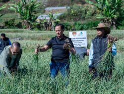 Satgas Pangan Polri Perkuat Swasembada Bawang Putih, Lahan Tanam di Sembalun Capai 534 Hektare
